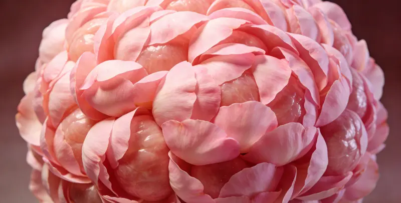 衢州BRCA1/2乳腺癌卵巢癌基因检测图片1